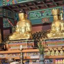 칠곡 송림사 석조아미타여래삼존좌상 이미지