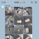 멍데이 살롱 네이버블로그