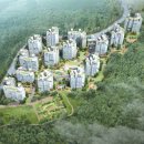 강남-249 이미지