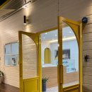 옐로우연화 이미지