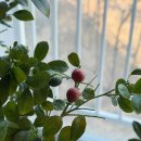 영호카써비스 | 행복. 일상. 질문? +무테가 잘 어울리는 여자