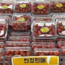 경기마트 맘스점
