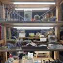 에버해피 | 클래스 / 내돈내산 후기] 식물 킬러도 키울 수 있는 해피에버애프터 테라리움 후기 (ft. 푸드떼, 짚뿔...