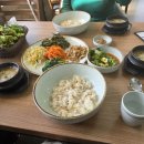 장동감나무보리밥 이미지