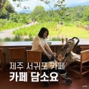 휴애리근처 | 제주 담소요 카페 | 휴애리 근처 뷰 맛집 주차·웨이팅 후기