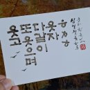 2024강원동계청소년올림픽 231101 이미지