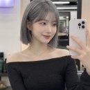 애쉬그레이 카카오 검색결과