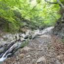 백운산등산로6코스 투어코리아