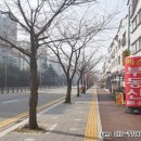 신명아파트 앞 이미지