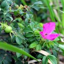 엘도라도 PC방 이미지