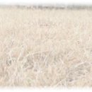 비전테크 이미지