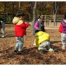 목감퍼스트어린이집 이미지