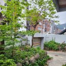 할매 | 부산 촌캉스 광안리 할매집 후기 광안리 단체숙소 추천