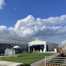 도도2농장 | ✨🍇 쑥쑥농장 샤인머스캣 체험 후기: 달콤함 가득! 온 가족 힐링 나들이