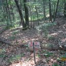 용인자연숲캠핑장 이미지