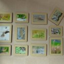 하늘빛으로 물든새 이미지