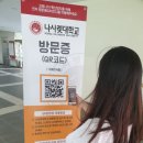 엘리트 소프트 이미지