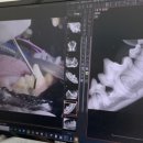 뉴엘동물의료센터 이미지