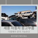 세종 자동차 이미지