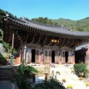 일향(一香) 이미지