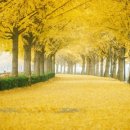복*서 이미지
