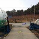 은빛가든 이미지