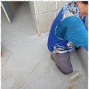 현대종합써비스 | 노원누수탐지 믿고 맡기는 누수 해결 전문, 현대종합설비 이용 후기