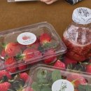 말밭농장 | 포항 딸기체험 후기｜농대생이 키운 딸기농장에서 아이와 즐긴 딸기수확+허브+딸기청 패키지