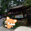 수가솔방 솔잎찜질방 이미지