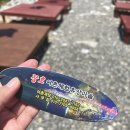 정라항 어민복지B | 삼척 장호항 스노쿨링 물 조금 맑음 미역국 느낌 주차장 운영시간 파라솔 가격