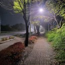 선학스파24시불한증막사우나 이미지