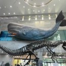 저학년 한국사 이미지