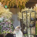 우리파크 | 25.11.08 우리 결혼했어요❤️ / 아레나파크웨딩홀 본식후기