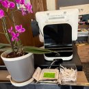 충렬사화장실 | 부산 안락동 충렬사역 맛집 안락정 후기