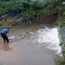 엔도르핀농장 이미지