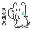 메다카갤러리 네이버블로그