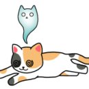 차플 이미지
