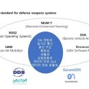 DDS 이미지