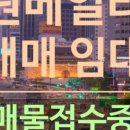 원베일리반포삼성공인중개사사무소 이미지