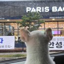 삼척동물병원 이미지