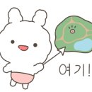 슬리케이크 이미지