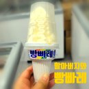 빵빠레투 이미지