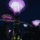 고산슈퍼 | 싱가포르 여행 가든스바이더베이 슈퍼 트리쇼 위치, 가는 방법, 입장료 가격 시간