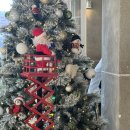 핸드드립&바리스타 강좌번호(17) | [대구] 동성로 카페 두바이 소금빵 파는 '스테드(sted)' 내돈내산 후기