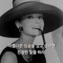 오드리햅번 Daum카페