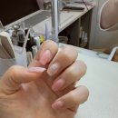 금비 | 부산 사직동 네일샵 네일금비 내돈내산 봄 원컬러 후기