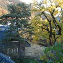 남양사南陽祠 이미지