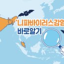 바이러스