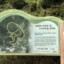 전기차충전소_느지리오름주차장 이미지