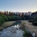 가음정천 이미지